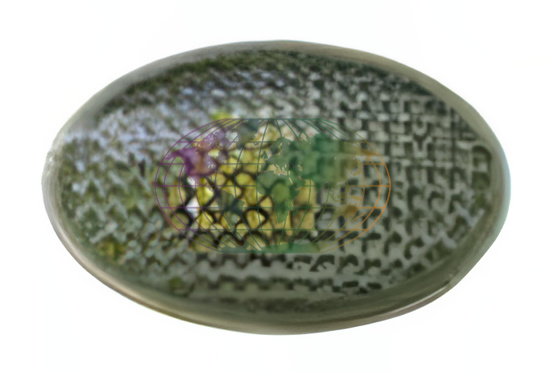 Knipperlicht Bodermann 6438320 Knipperlicht Bodermann 6438320