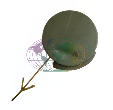 Sleepoog afdekkap Bodermann 6441139 Sleepoog afdekkap Bodermann 6441139