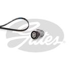 Gates Poly V-riemen kit K036PK1078 Gates Poly V-riemen kit K036PK1078