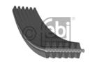 Febi Bilstein Poly V-riem 34459 Febi Bilstein Poly V-riem 34459