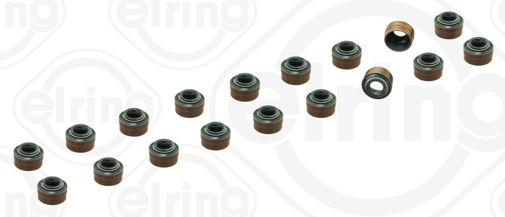 Elring Klepsealset B47.250