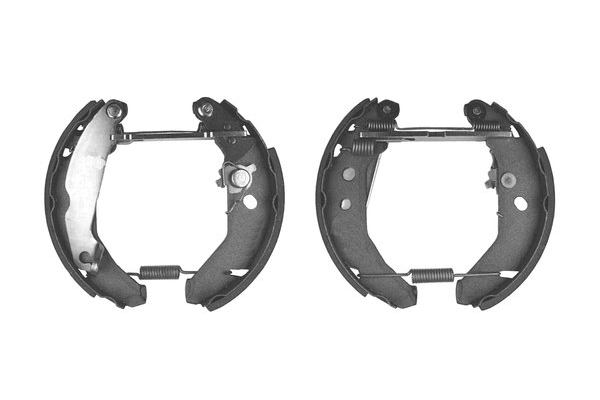 Bosch Remschoen set 0 204 114 639