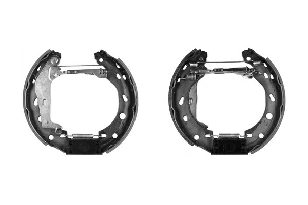 Bosch Remschoen set 0 204 114 649