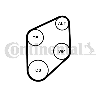 Contitech Poly V-riemen kit 4PK800K1