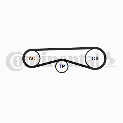 Contitech Poly V-riemen kit 4PK970K1