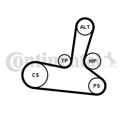 Contitech Poly V-riemen kit inclusief waterpomp 5PK1300WP1