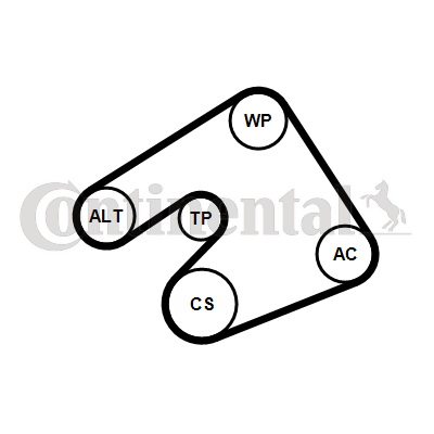 Contitech Poly V-riemen kit inclusief waterpomp 5PK1397WP1