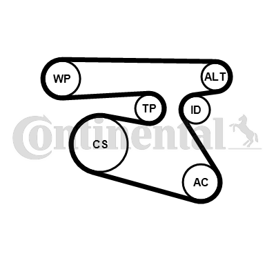Contitech Poly V-riemen kit 5PK1960K1