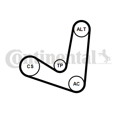 Contitech Poly V-riemen kit 6PK1244K2