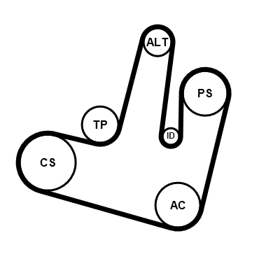 Poly V-riem set Contitech 6PK1264K1