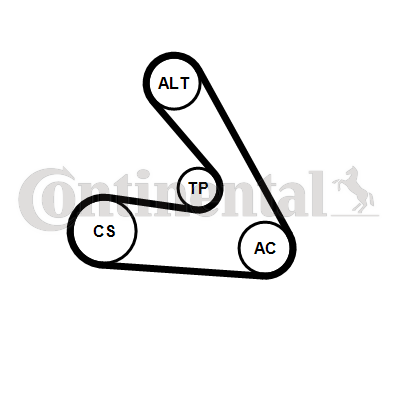 Contitech Poly V-riemen kit 6PK1270K1