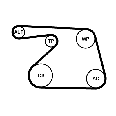 Poly V-riem set Contitech 6PK1325K1