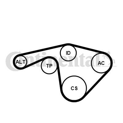 Contitech Poly V-riemen kit 6PK1345 EXTRA K1