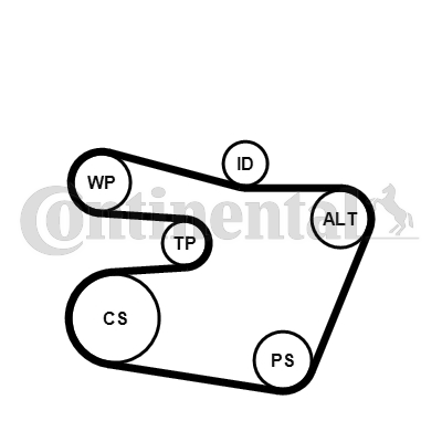 Contitech Poly V-riemen kit inclusief waterpomp 6PK1538WP1