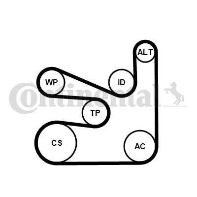 Contitech Poly V-riemen kit 6PK1660K5