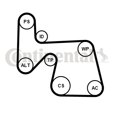 Contitech Poly V-riemen kit 6PK1670K1