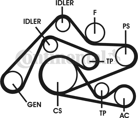Contitech Poly V-riemen kit 6PK2404D1