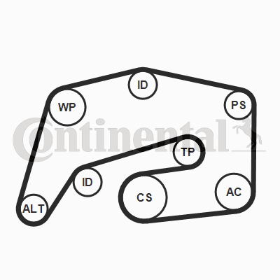 Contitech Poly V-riemen kit 8PK2035K1