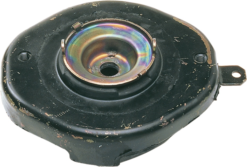 Veerpoot Gates SUS1587