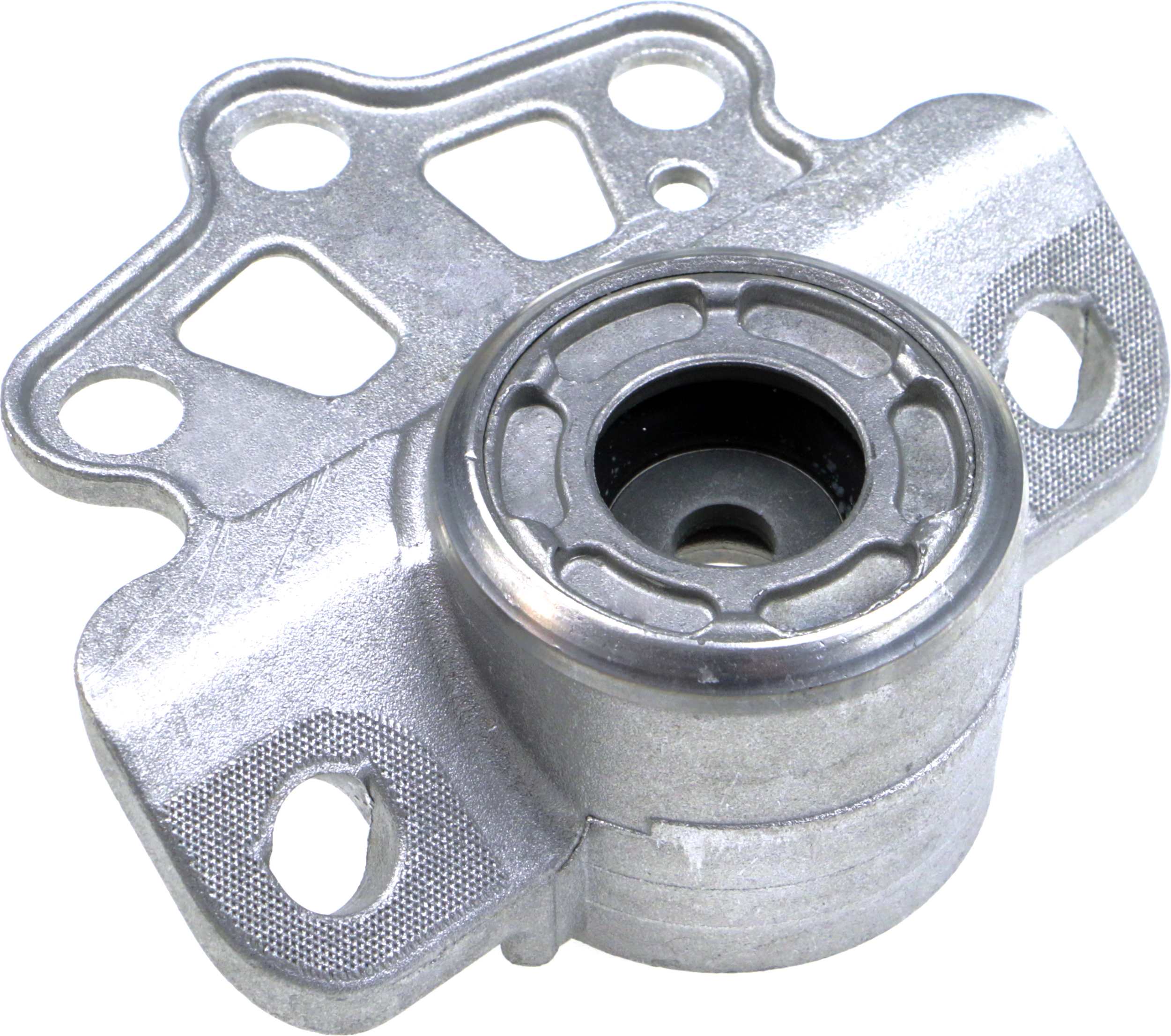 Veerpoot Gates SUS1664