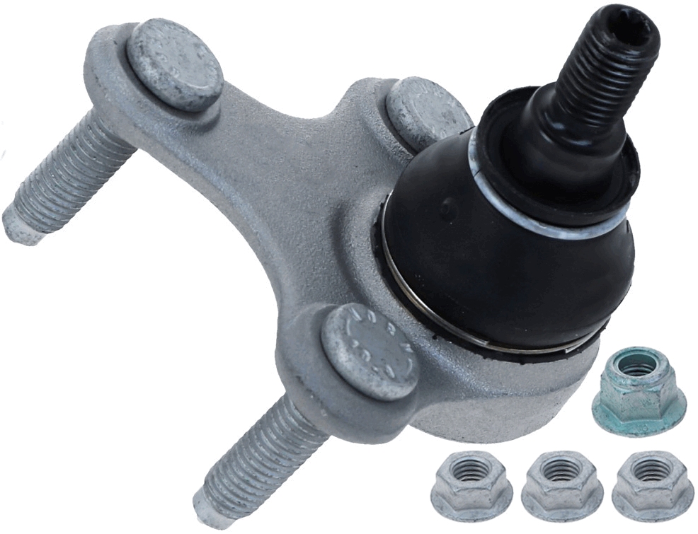 Lemförder Fuseekogel 26773 02