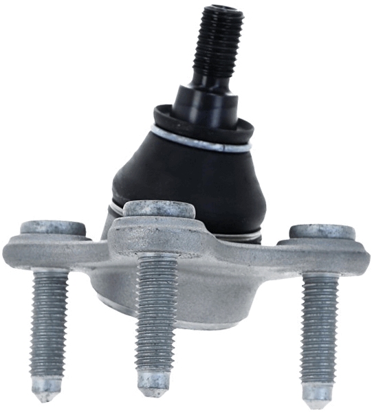 Lemförder Fuseekogel 26773 02