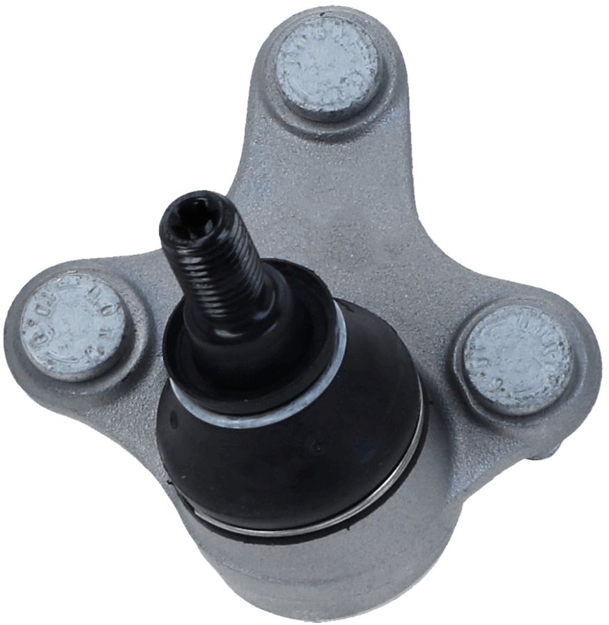 Lemförder Fuseekogel 26773 02