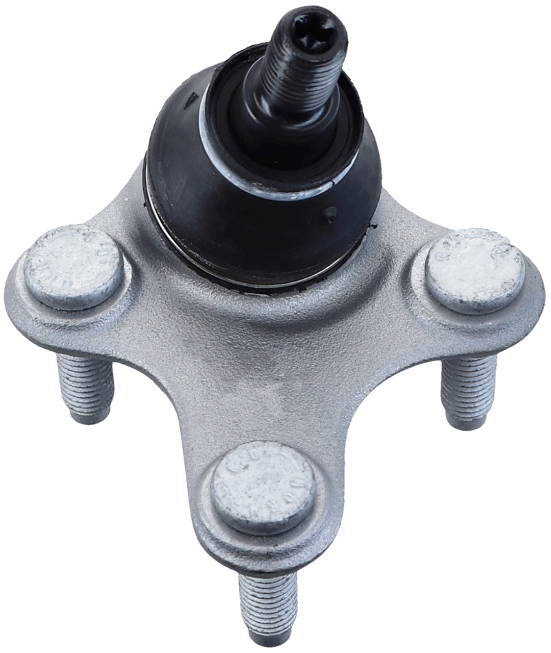 Lemförder Fuseekogel 26773 02