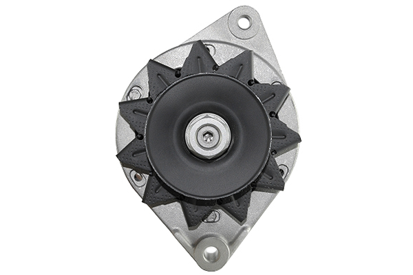 Friesen Alternator/Dynamo 9034761