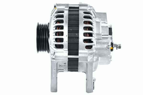 Friesen Alternator/Dynamo 9051560