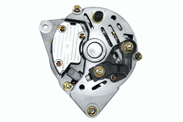 Friesen Alternator/Dynamo 9066407