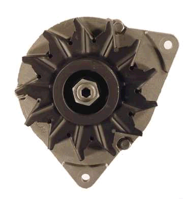 Friesen Alternator/Dynamo 9066463