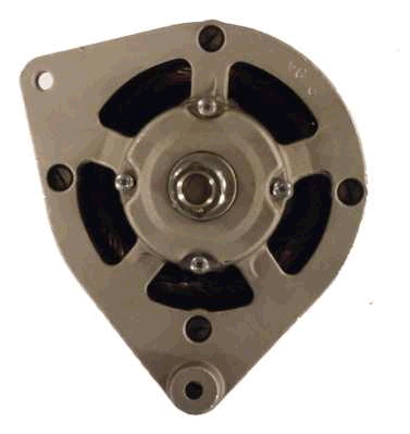 Friesen Alternator/Dynamo 9931320