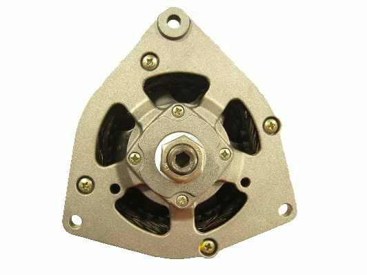 Friesen Alternator/Dynamo 9939820