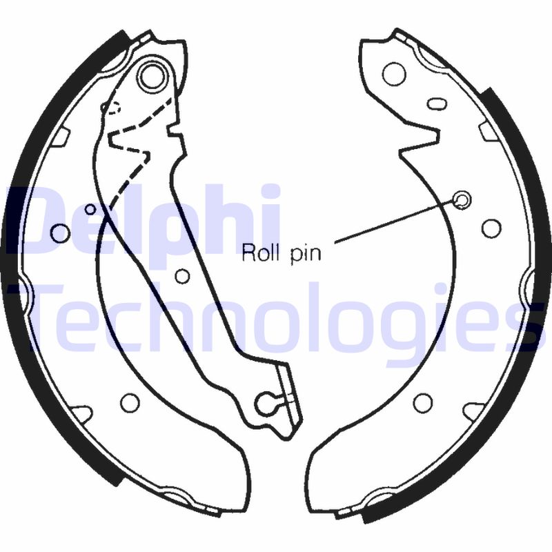 Delphi Diesel Remschoen set LS1244