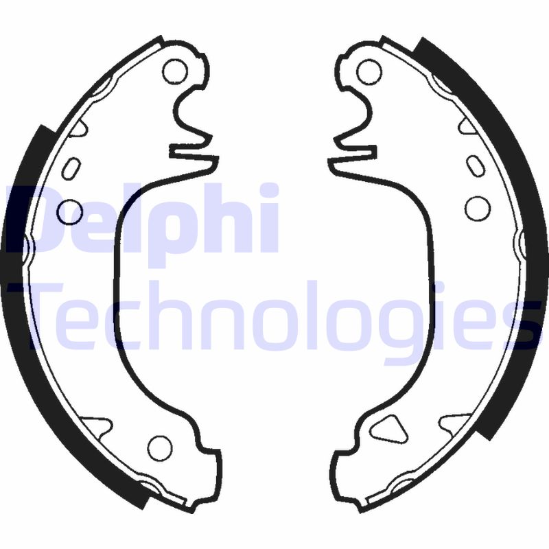 Delphi Diesel Remschoen set LS1273