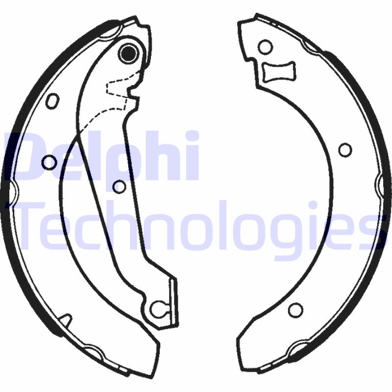 Remschoen set Delphi Diesel LS1287