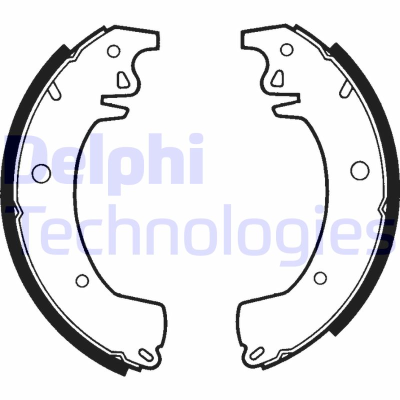 Remschoen set Delphi Diesel LS1306