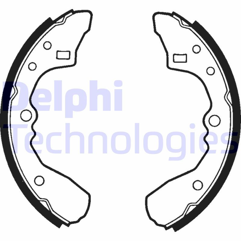 Delphi Diesel Remschoen set LS1324