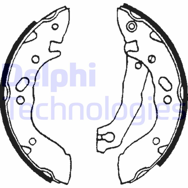 Remschoen set Delphi Diesel LS1609