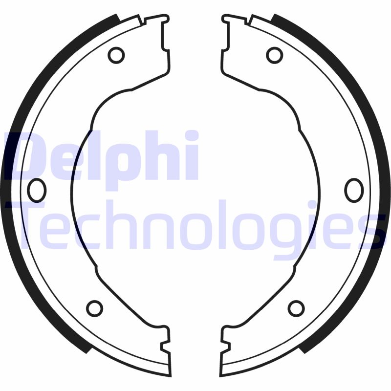 Remschoen set Delphi Diesel LS1982