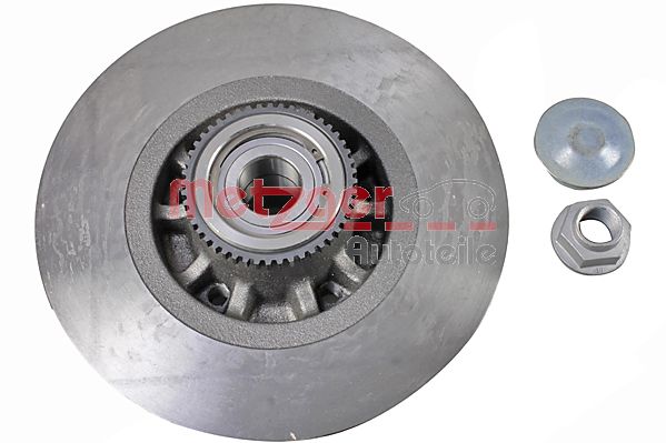 Metzger Remschijven 6110775