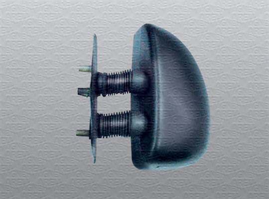 Magneti Marelli Buitenspiegel 350315026980