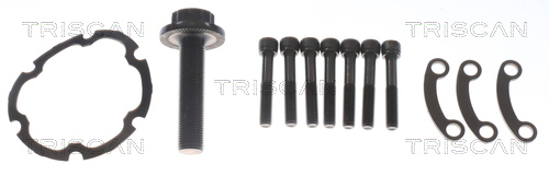 Triscan Aandrijfas 8540 295046