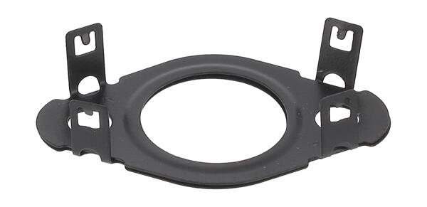 Payen Dichtring EGR-klep leiding KK5745