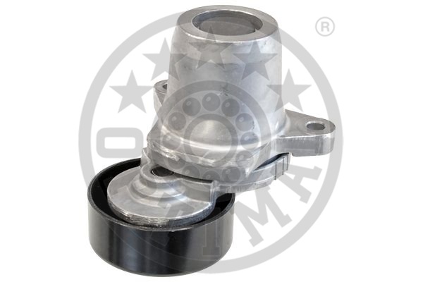 Optimal Spanner poly V-riem 0-N1815