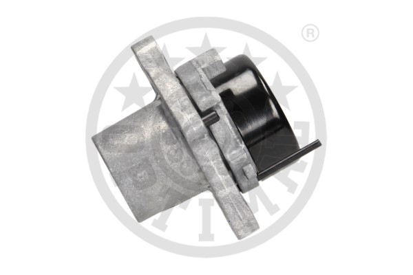 Optimal Spanner poly V-riem 0-N2214