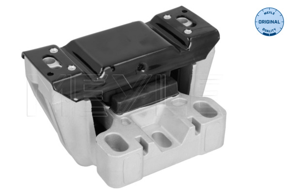 Meyle Motorsteun 100 199 0242