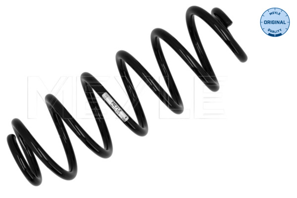 Chassisveer Meyle 100 739 0078