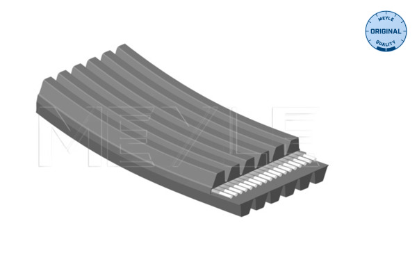 Meyle Poly V-riem 050 006 1841/D